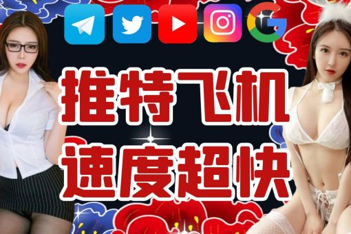 LAN 加速器