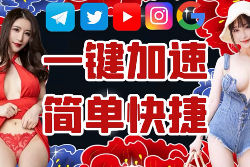 LAN 加速器