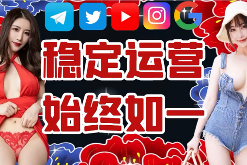 LAN 加速器