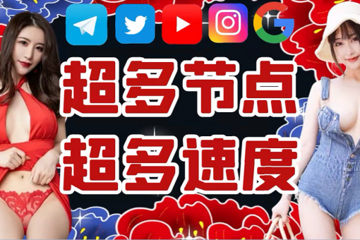 LAN 加速器
