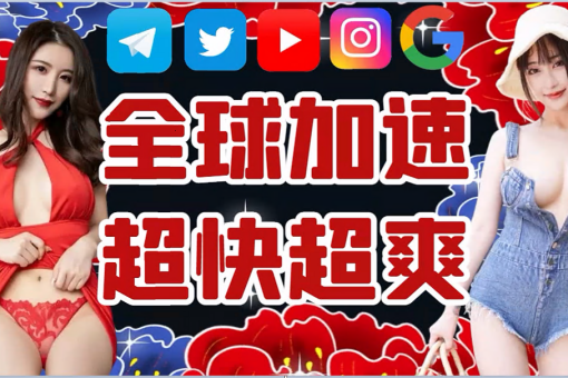 LAN 加速器