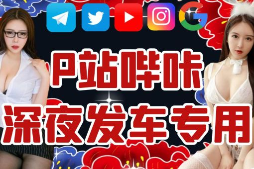 LAN 加速器